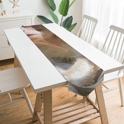 Yanfind Table Runner Singapore Domain Wildlife Public Monkey Jungle Baboon Images Rainforest Eating Pictures Everyday Dining Wedding Party Holiday Home Decor