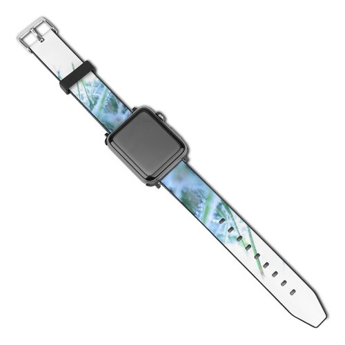 yanfind Watch Strap for Apple Watch Winter Family Frost Leaf Plant  Grass Frost Grass Morning Compatible with iWatch Series 5 4 3 2 1