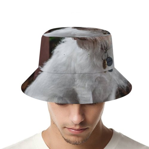 yanfind Adult Fisherman's Hat Lovely Images Birmingham Pet Wallpapers Sweet Pictures Bench Creative Beautiful Strap Grey Fishing Fisherman Cap Travel Beach Sun protection
