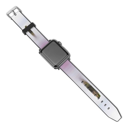 yanfind Watch Strap for Apple Watch United Beach Romney English Post Pictures Sea Outdoors Stock  Dream Compatible with iWatch Series 5 4 3 2 1