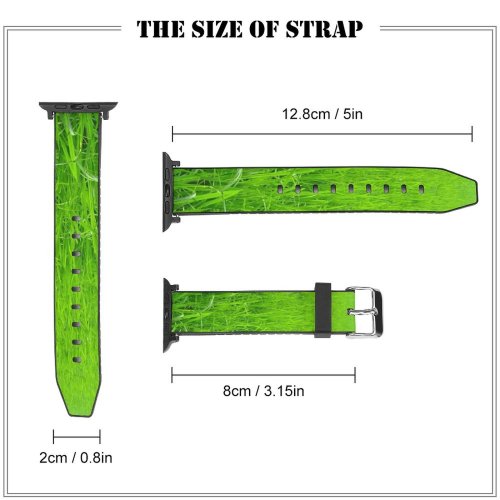 yanfind Watch Strap for Apple Watch Paddy Field Rice Farm Land Plants Cultivation India Kerala Grass Agriculture Crop Compatible with iWatch Series 5 4 3 2 1