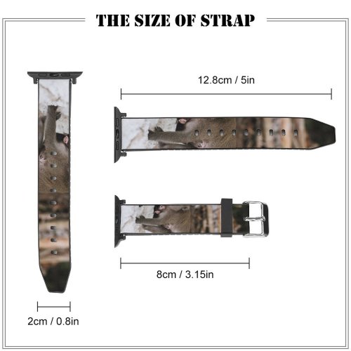 yanfind Watch Strap for Apple Watch Creative Images Commons Wildlife Pictures  Monkey Baboon Compatible with iWatch Series 5 4 3 2 1