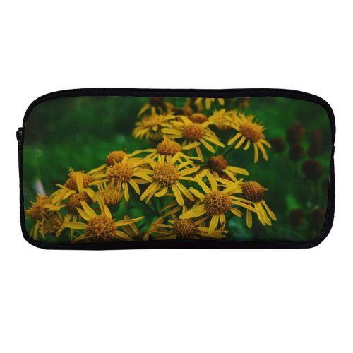 yanfind Pencil Case YHO Images Fall Autumn Petal Wallpapers Plant Asteraceae Outdoors Pollen Free Pictures Daisy Zipper Pens Pouch Bag for Student Office School