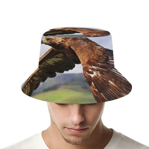 yanfind Adult Fisherman's Hat Raptor Birds Prey Birds Flying Mid Air Blur Fishing Fisherman Cap Travel Beach Sun protection