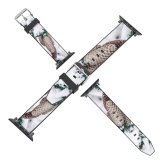 yanfind Watch Strap for Apple Watch Abies Pine Plant Spruce Estonia Snake Pictures PNG Winter Grey Snow Compatible with iWatch Series 5 4 3 2 1