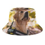 yanfind Adult Fisherman's Hat Lovely Images Golden Wallpapers Forest Harness Pictures Dog Pet Free Strap Fishing Fisherman Cap Travel Beach Sun protection