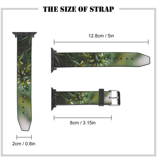 yanfind Watch Strap for Apple Watch Abies Plant Pictures PNG Grey Tree Fir Succulent Bokeh Yew Conifer Compatible with iWatch Series 5 4 3 2 1