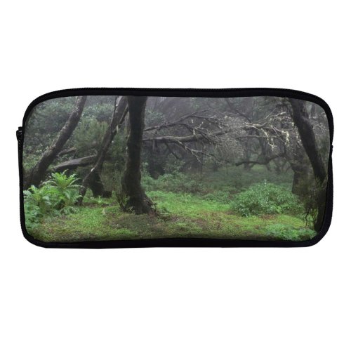 yanfind Pencil Case YHO Coniferous Morning Tropical Tree Gomera Tree Forest Fog Trail Old Growth Jurasic Zipper Pens Pouch Bag for Student Office School