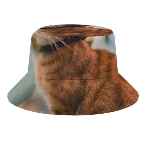 yanfind Adult Fisherman's Hat Lovely Images Wuhan Decor China Plant Abyssinian Pictures Pet Home Manx Free Fishing Fisherman Cap Travel Beach Sun protection