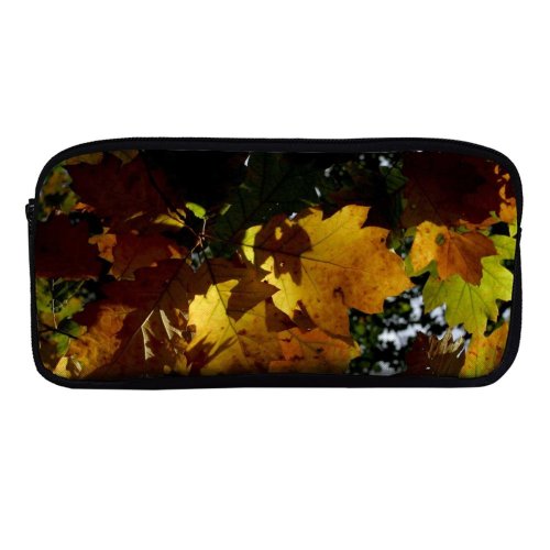 yanfind Pencil Case YHO Maple Autumn Woody Maple Plant Fall Sky Wood Plane Leaf Forest Leaf Zipper Pens Pouch Bag for Student Office School