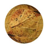 yanfind Adult Fisherman's Hat Texture Grow Death Wood Golden Autumn Growth Leaves Leave Plant Fall Die Fishing Fisherman Cap Travel Beach Sun protection