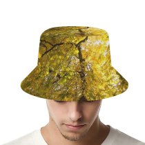 yanfind Adult Fisherman's Hat Images Sun Lawn Public Flare Sky Wallpapers Plant Meadow Tree Trunk Warsaw Fishing Fisherman Cap Travel Beach Sun protection