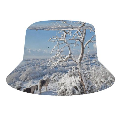 yanfind Adult Fisherman's Hat Winter Sky Wales Christmas Winter Horses Brisk Landscape Landscape Sky Fields Plant Fishing Fisherman Cap Travel Beach Sun protection