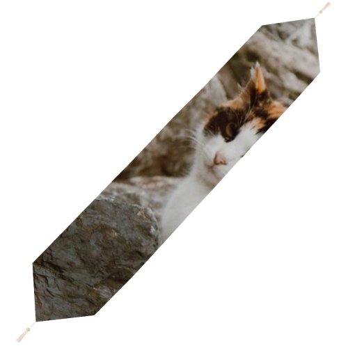 Yanfind Table Runner Funny Curiosity Outdoors Sit Cute Daylight Cat Little Fall Eye Portrait Tree Everyday Dining Wedding Party Holiday Home Decor