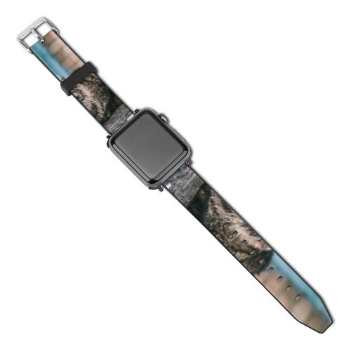yanfind Watch Strap for Apple Watch Funny Curiosity Outdoors Cute Young  Portrait Kitten Whisker Wildlife Compatible with iWatch Series 5 4 3 2 1