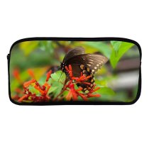 yanfind Pencil Case YHO Nectar Bee Images Insect Fl Plant Free States Natural Largo Invertebrate Honey Zipper Pens Pouch Bag for Student Office School