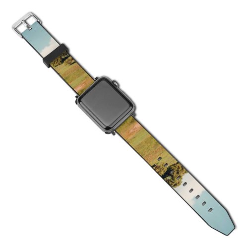 yanfind Watch Strap for Apple Watch Countryside Plant Mound Slope Pictures Grassland Outdoors Grey Tree Free Field Compatible with iWatch Series 5 4 3 2 1