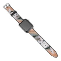 yanfind Watch Strap for Apple Watch Funny Curiosity Sit Little Young  Pet Whisker Downy Fur Portrait Compatible with iWatch Series 5 4 3 2 1