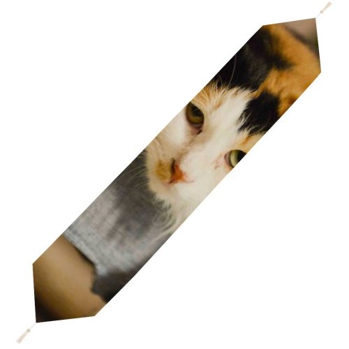 Yanfind Table Runner Young Kitty Pet Friendship Funny Kitten Portrait Tabby Whiskers Curiosity Cute Focus Everyday Dining Wedding Party Holiday Home Decor