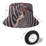 yanfind Adult Fisherman's Hat Images Wildlife Wallpapers Grey Zebra Pictures Free Fishing Fisherman Cap Travel Beach Sun protection