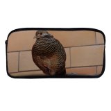yanfind Pencil Case YHO Birdwatching Beak Field Alive Grass Cool  Afraid Gobbler  Falconiformes Galliformes Zipper Pens Pouch Bag for Student Office School