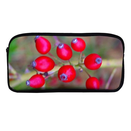 yanfind Pencil Case YHO Berry Autumn Fruit Woody Hawthorn Plant Hip Flower Flowering Leaf Rose Leaf Zipper Pens Pouch Bag for Student Office School