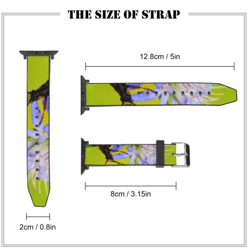 yanfind Watch Strap for Apple Watch Andrena Plant Polska Images Commons Creative Insect Pictures Grudziądz Invertebrate Photo Compatible with iWatch Series 5 4 3 2 1