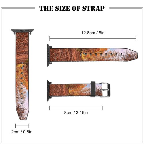 yanfind Watch Strap for Apple Watch Abies Road Leaf Plant Domain Trunk Pictures Ground Outdoors Tree Fir Compatible with iWatch Series 5 4 3 2 1