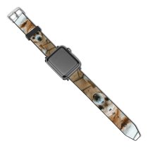 yanfind Watch Strap for Apple Watch Walkway Pet Strap Pavement Pictures Floor Stock Spaniel Flagstone Cocker Free Compatible with iWatch Series 5 4 3 2 1