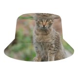 yanfind Adult Fisherman's Hat Lovely Images Wildlife Pictures Pet Creature Curious Free Lynx Cat Fishing Fisherman Cap Travel Beach Sun protection