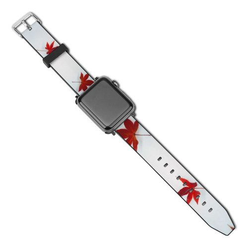 yanfind Watch Strap for Apple Watch Invertebrate Plant Carlos Insect Pictures Tree Rs Free Barbosa Birds Maple Compatible with iWatch Series 5 4 3 2 1