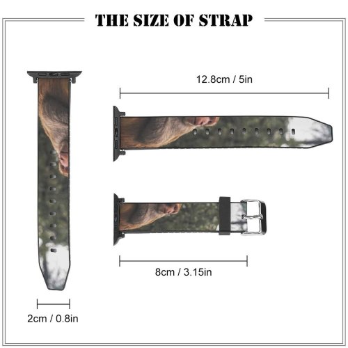 yanfind Watch Strap for Apple Watch  Fly  Orangutan Railing Eating Adventure Elephant Images Pants Commons Creative Compatible with iWatch Series 5 4 3 2 1