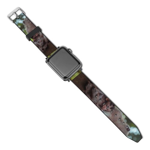 yanfind Watch Strap for Apple Watch  Orangutan Tree  Ubud Wildlife Free Monkey Jungle Family Stock Compatible with iWatch Series 5 4 3 2 1