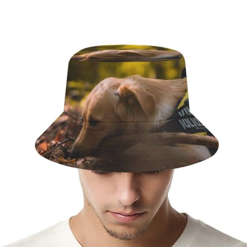 yanfind Adult Fisherman's Hat Lovely Golden Images Pet Wallpapers Plant Free Forest Pictures Strap Dog Leaf Fishing Fisherman Cap Travel Beach Sun protection