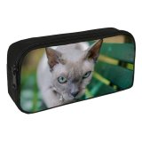 yanfind Pencil Case YHO  Whiskers Cat Face Bench Hunter Portrait Pet Tabby Curiosity Evil Outdoors Zipper Pens Pouch Bag for Student Office School