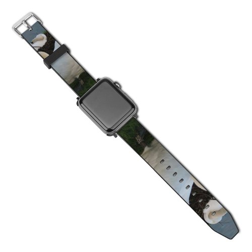 yanfind Watch Strap for Apple Watch Swans Birds Nesting  Swim Eggs Bird  Vertebrate Ducks Geese Beak Compatible with iWatch Series 5 4 3 2 1