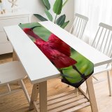 Yanfind Table Runner Beautiful Wing Wild Ibis Exotic Wings Colur Avian Plumage Wildlife Outdoors Beak Everyday Dining Wedding Party Holiday Home Decor