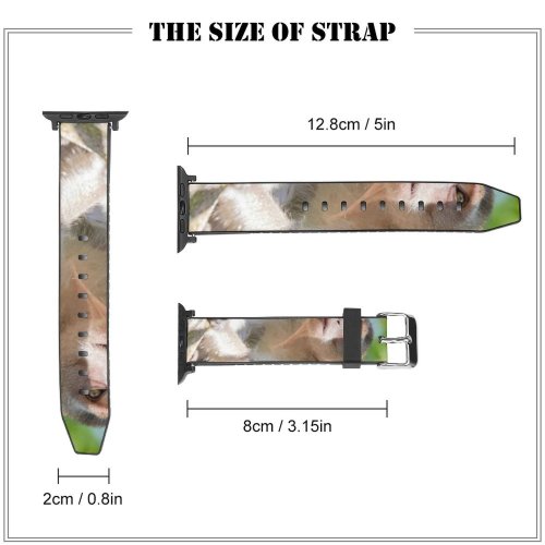 yanfind Watch Strap for Apple Watch Singapore Domain Wildlife Public Monkey Jungle Baboon Images Rainforest Eating Pictures Compatible with iWatch Series 5 4 3 2 1