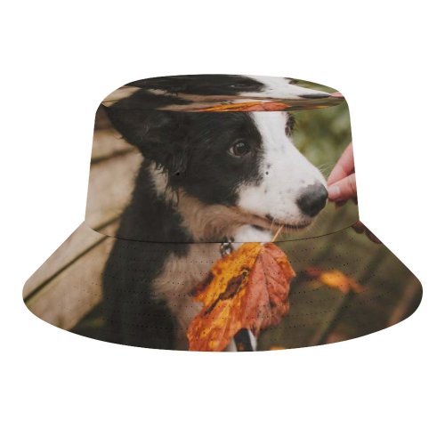 yanfind Adult Fisherman's Hat October Images Fall Autumn Mm Pet Sigma Wallpapers Silly Free Goofy Minnesota Fishing Fisherman Cap Travel Beach Sun protection
