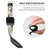 yanfind Watch Strap for Apple Watch Images Sri Dambulla Free Wildlife Insect Pictures Invertebrate Lanka Monkey Baboon Compatible with iWatch Series 5 4 3 2 1