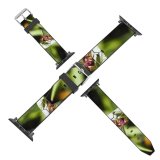 yanfind Watch Strap for Apple Watch Syrphus Insect Episyrphus Balteatus Macros Hoverfly Rib Macro Invertebrate  Dragonflies Damseflies Compatible with iWatch Series 5 4 3 2 1