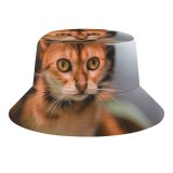yanfind Adult Fisherman's Hat Lovely Images Pet Manx Public Wuhan Wallpapers Abyssinian Pictures Cat China Kitten Fishing Fisherman Cap Travel Beach Sun protection