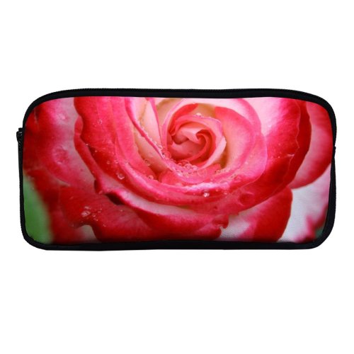 yanfind Pencil Case YHO Centifolia Bush Flower Garden Rosa Flower Petal Droplets Plant Hybrid Family × Zipper Pens Pouch Bag for Student Office School