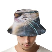 yanfind Adult Fisherman's Hat Lovely Images Penh Shoot Abyssinian Pictures Pet Kitten PNG Phnom Cambodia Cat Fishing Fisherman Cap Travel Beach Sun protection