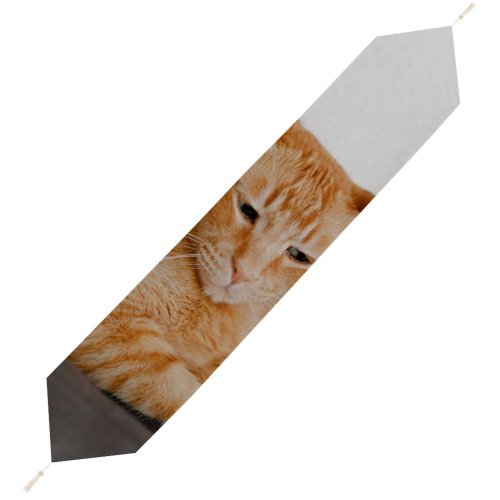 Yanfind Table Runner Funny Curiosity Sit Cute Little Young Eye Portrait Kitten Pet Whisker Downy Everyday Dining Wedding Party Holiday Home Decor