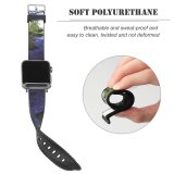 yanfind Watch Strap for Apple Watch River  Pond Waterfall Doomgirl Dungowan Tamworth Australia Country Outing Grass Trees Compatible with iWatch Series 5 4 3 2 1