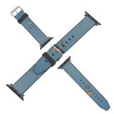 yanfind Watch Strap for Apple Watch Swans Formation Sky  Winter Airplane Flight  Travel Flap Aircraft Vehicle Compatible with iWatch Series 5 4 3 2 1