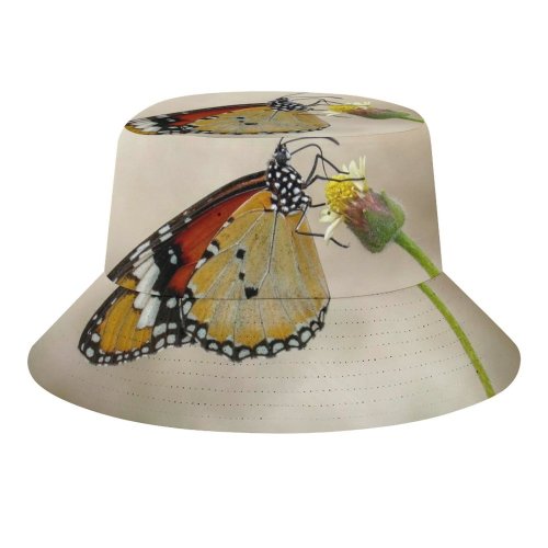 yanfind Adult Fisherman's Hat Petals Images Pretty Insect Spring Wing Underside Wildlife Wallpapers Outdoors Serenity Summer Fishing Fisherman Cap Travel Beach Sun protection