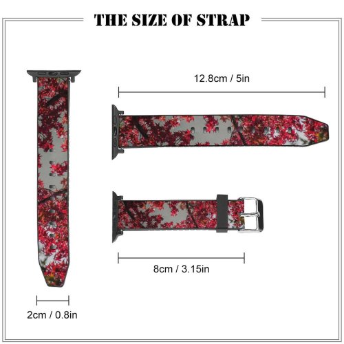 yanfind Watch Strap for Apple Watch France Pictures Plant Maple Domain Tree Images Public Leaf Compatible with iWatch Series 5 4 3 2 1