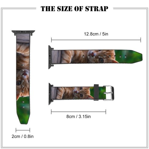 yanfind Watch Strap for Apple Watch Funny Curiosity Cute Cat Baby Little  Staring Tabby Pet Whisker Downy Compatible with iWatch Series 5 4 3 2 1